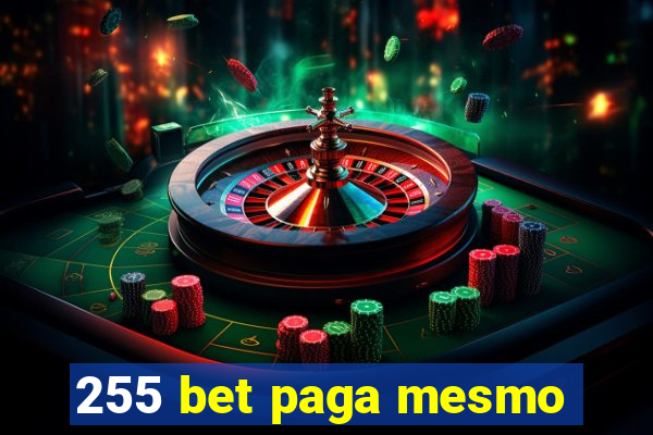 255 bet paga mesmo